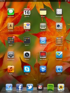 Homescreen des neuen iPad