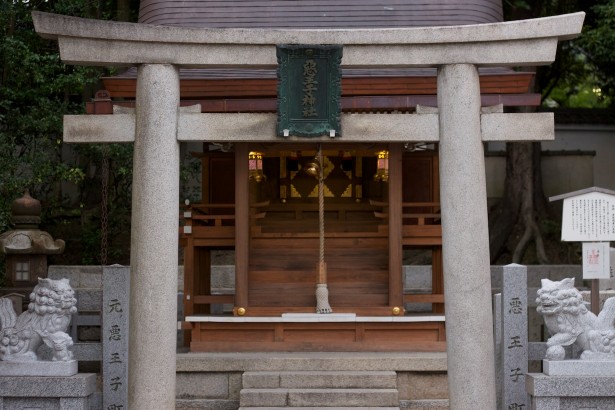 Beim Yasaka Schrein.