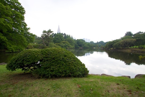 Im Shinjuku Gyoen Garten.